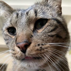 Meet your Posher, Isko Lee